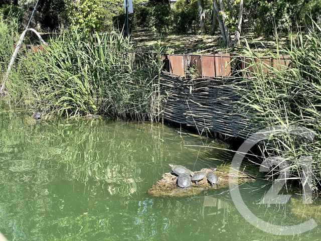 Appartement F3 à vendre - 3 pièces - 53.74 m2 - MANDELIEU LA NAPOULE - 06 - PROVENCE-ALPES-COTE-D-AZUR - Century 21 Azurim